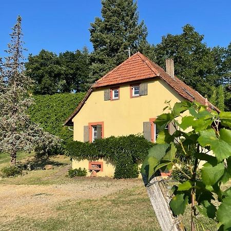 Rebhaus Durbach Villa Exterior foto