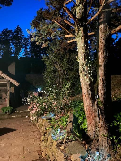 Rebhaus Durbach Villa Exterior foto