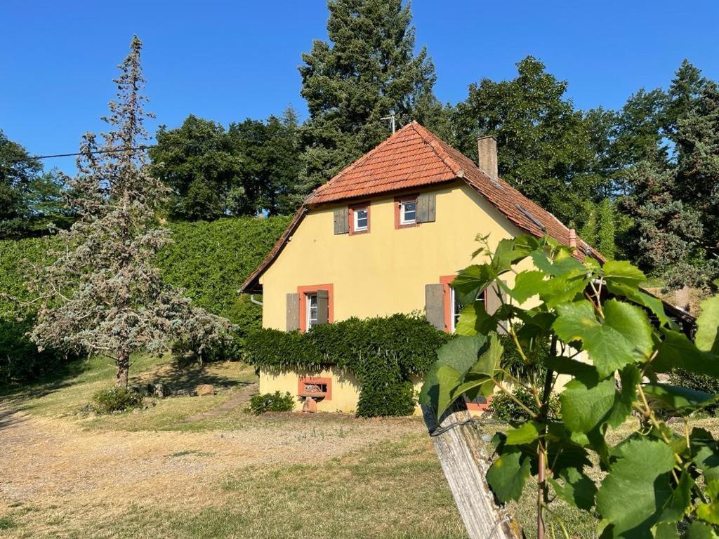 Rebhaus Durbach Villa Exterior foto